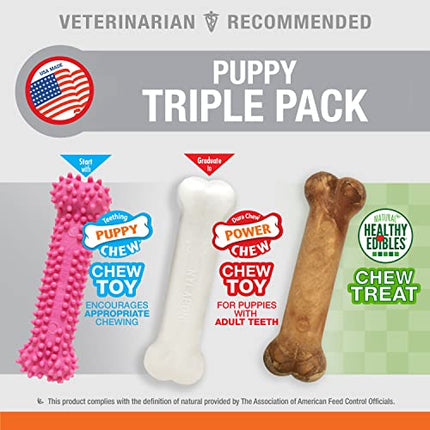 Nylabone Puppy Chew Variety Toy & Treat Triple Pack Pink Bone Small/Regular (3 Count) in India