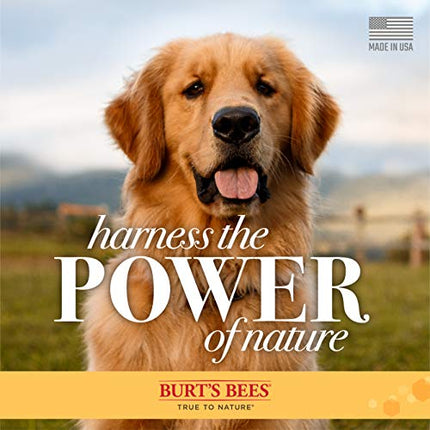 Burt's Bees for Dogs Natural Oatmeal Shampoo with Colloidal Oat Flour and Honey| Oatmeal Dog Shampoo, 4 Ounce Dog Shampoo to Soothe and Cleanse Dogs Skin and Coats in India