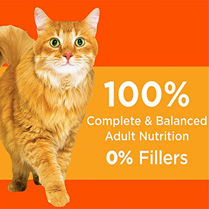 Buy IAMS PROACTIVE HEALTH Adult Healthy Dry Cat Food with Chicken Cat Kibble, 22 lb. Bag 2023