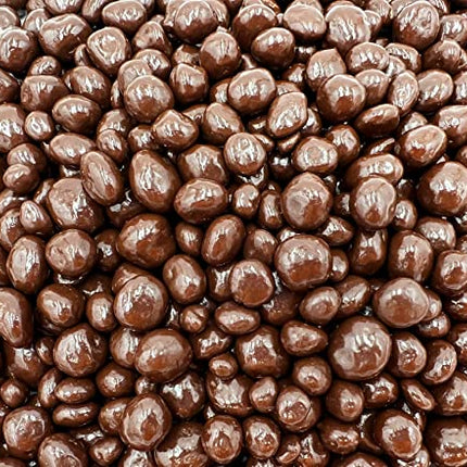 LaetaFood Sugar Free Dark Chocolate Covered Raisins Candy (1 Pound Bag)